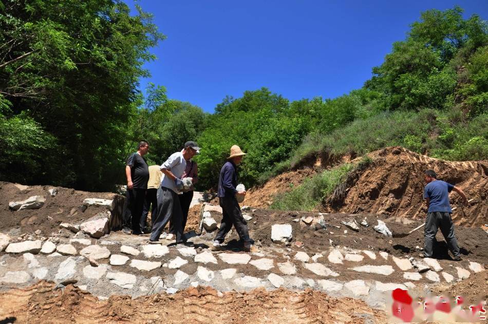 堆沟最新发展动态，揭示地区新面貌与变化